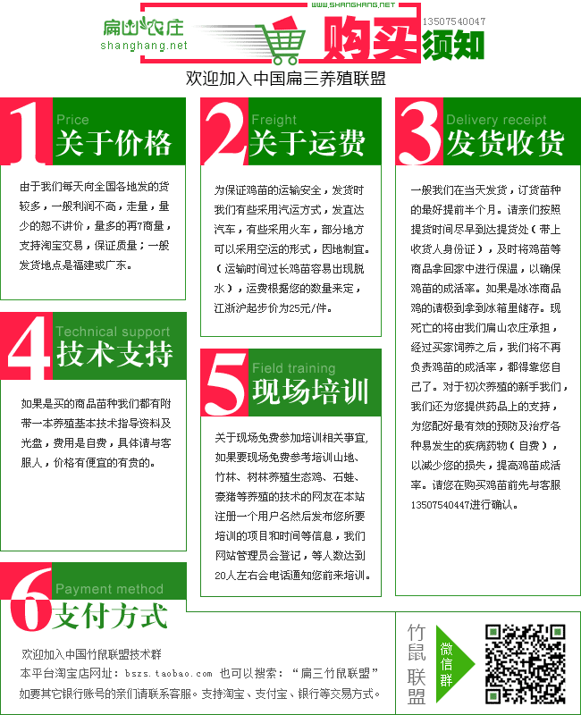 世俱杯哪个平台直播